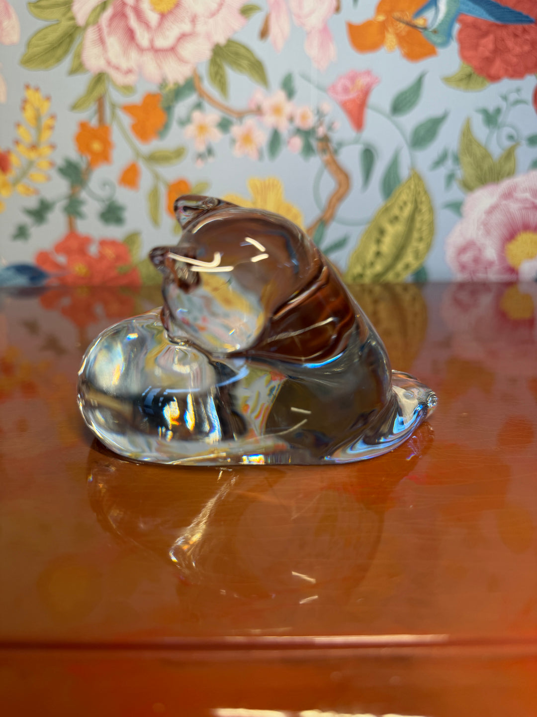 Baccarat Cat