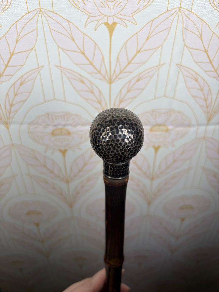 Sterling Silver Head Cane