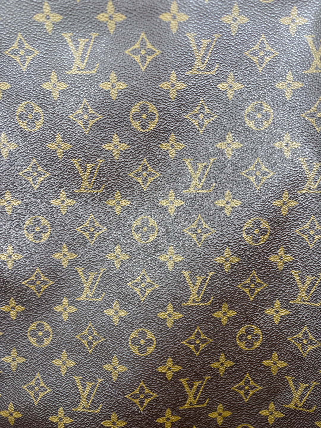 Louis Vuitton Hanging Garment Bag