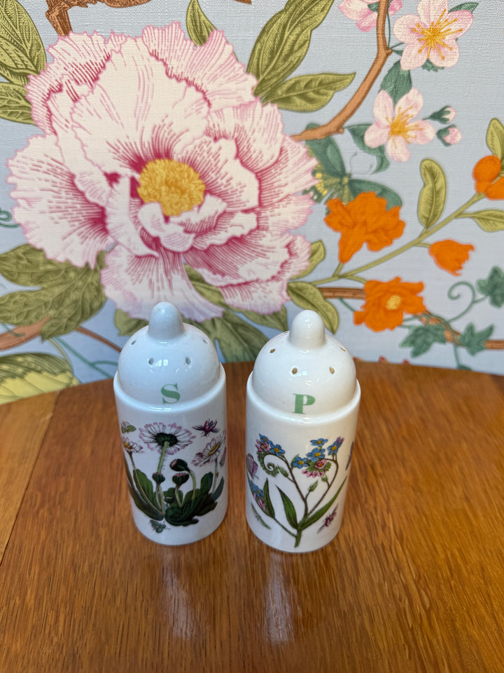 Portmeirion Salt and Pepper shakers