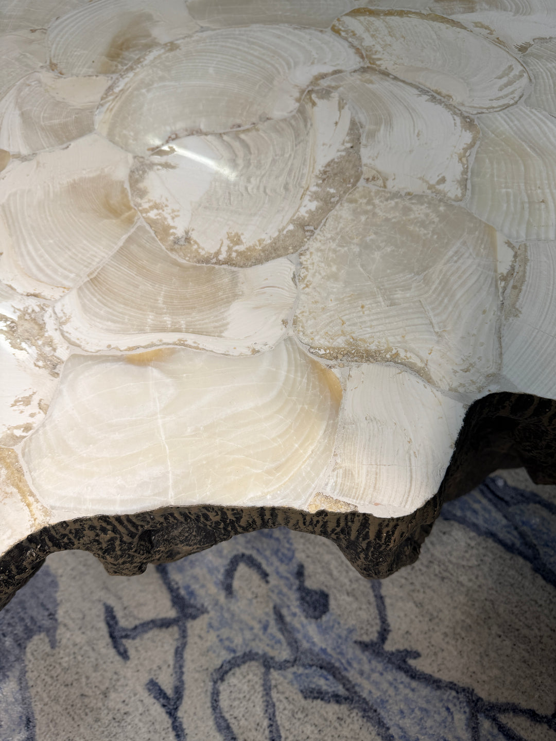 Fossilized Coffee Table