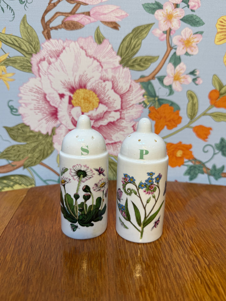 Portmeirion Salt and Pepper shakers