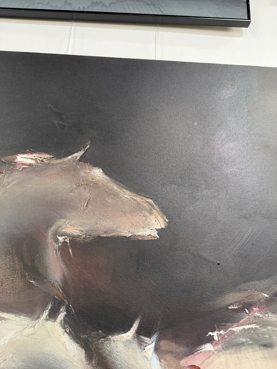 Wild Horses by Jean Richardson