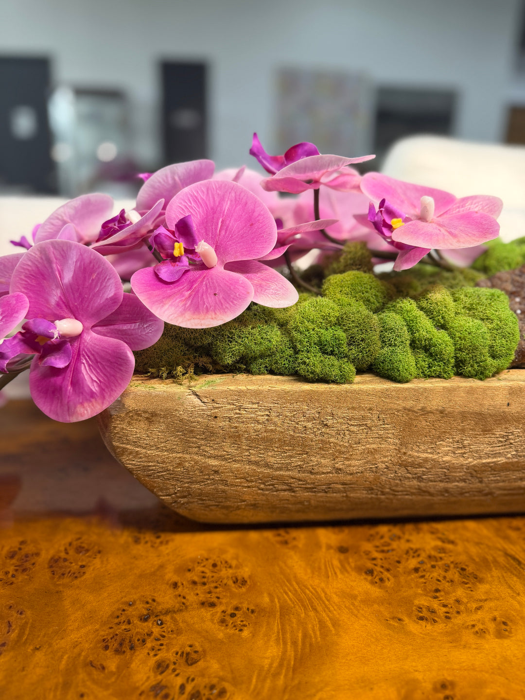 Botanical Mix Potted Arrangement