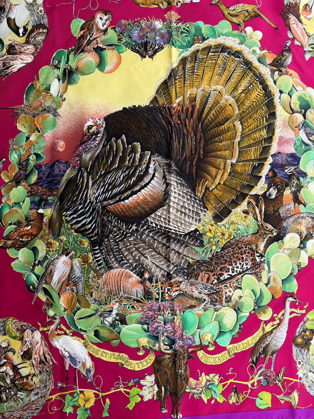 Vintage HERMÈS “Fauna et Flora du Texas” Silk Scarf by Kermit Oliver 90