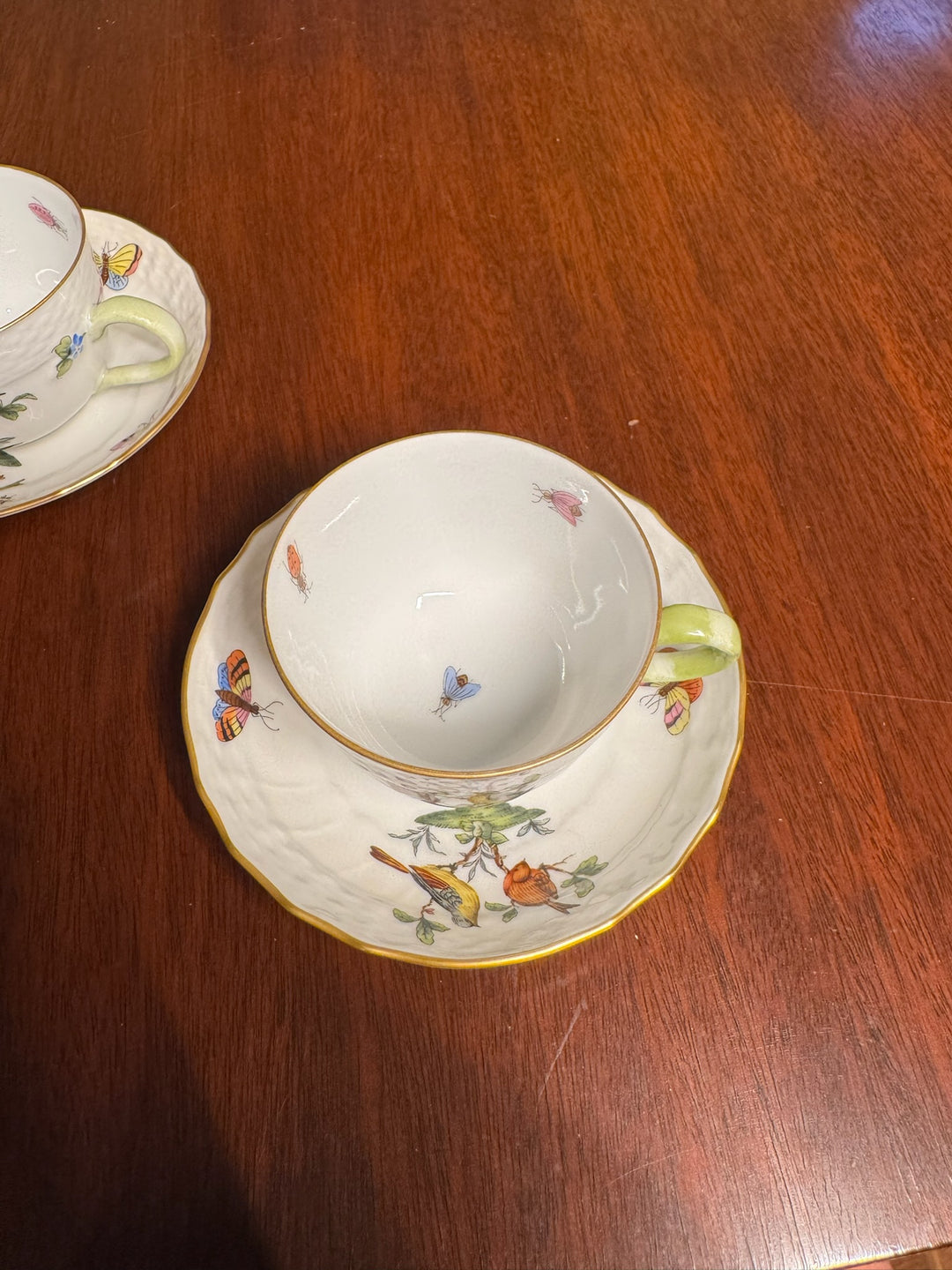 Herend Rothschild Teacup and Saucer (#1728)