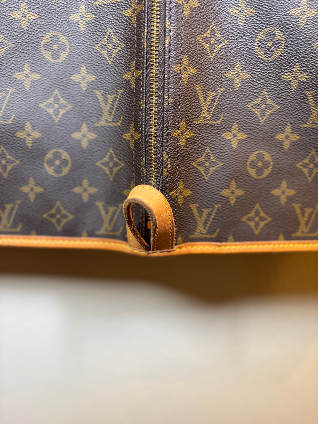 Louis Vuitton Hanging Garment Bag