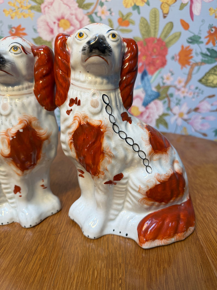Pair of Staffordshire Dogs