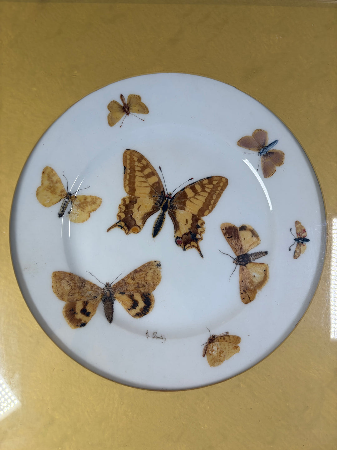 Pair of Framed Butterfly Plates