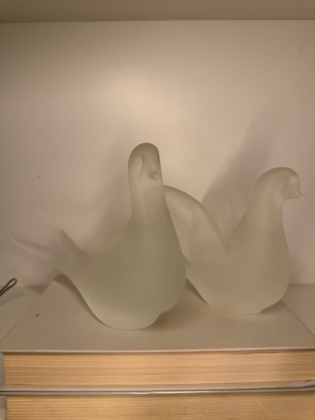 Quidio  Dove of Peace Birds