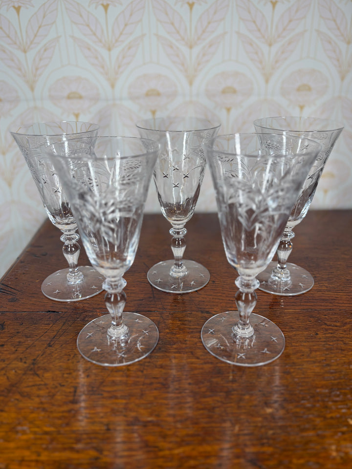 Set of 5 Glasses