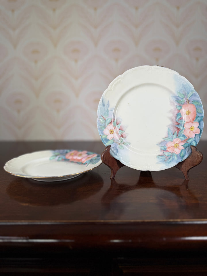 2 Limoges Saucers