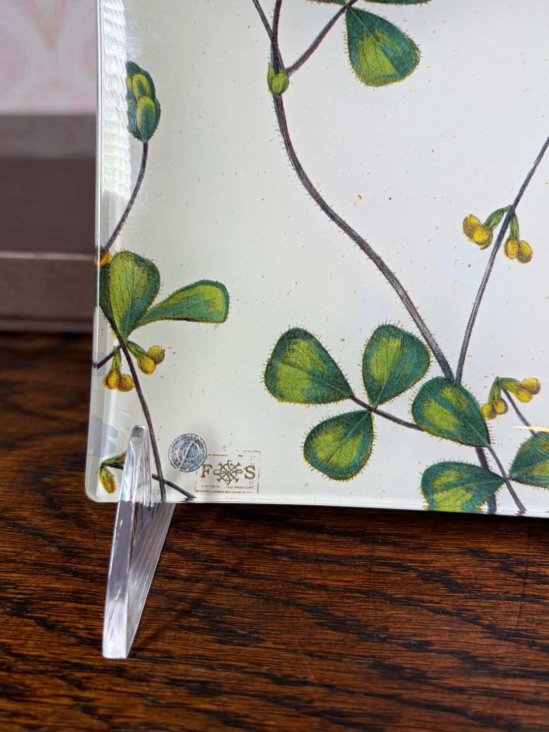 Fringe Studio Ring Dish with Box