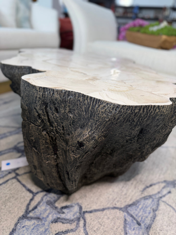 Fossilized Coffee Table