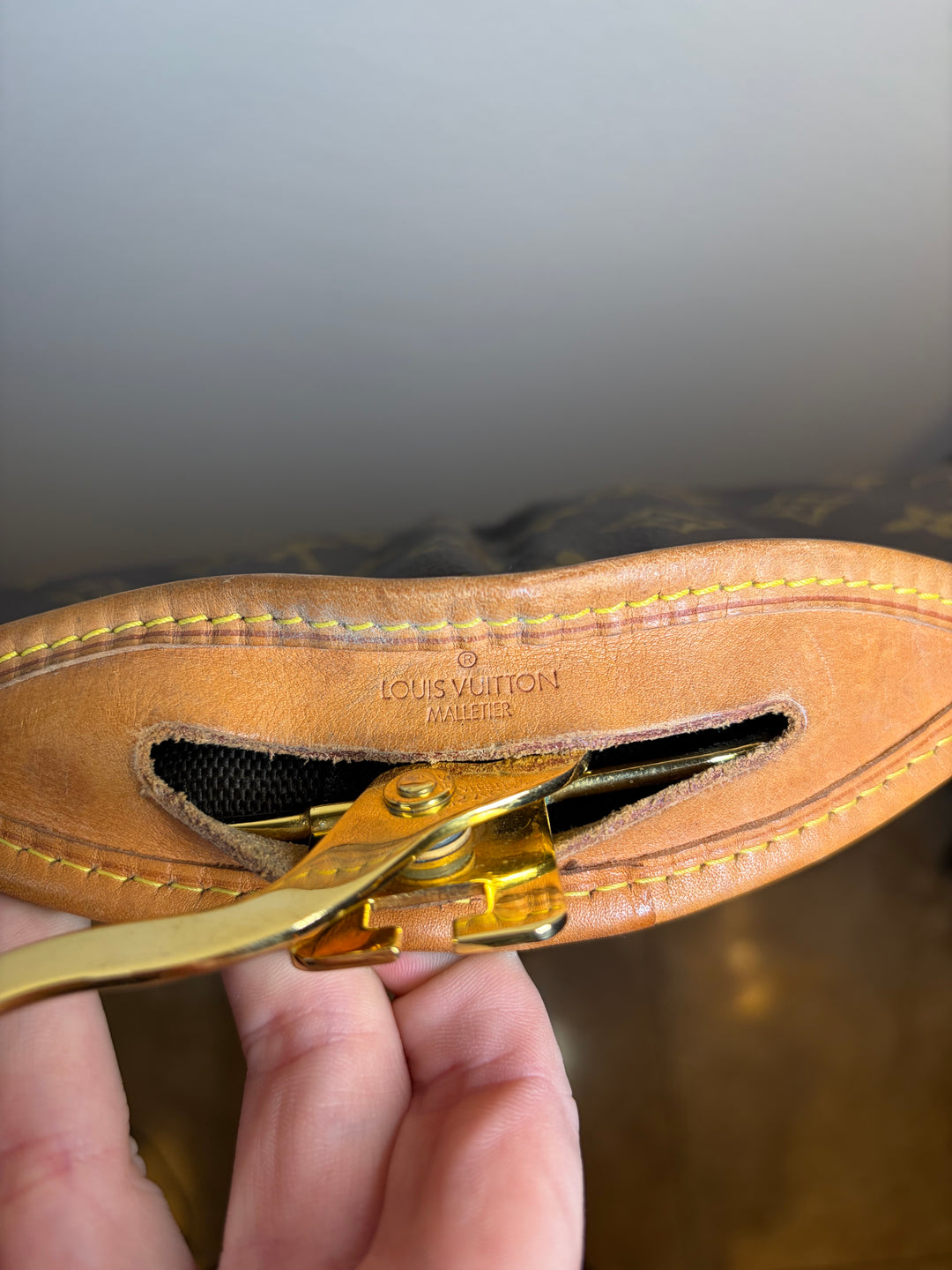 Louis Vuitton Hanging Garment Bag
