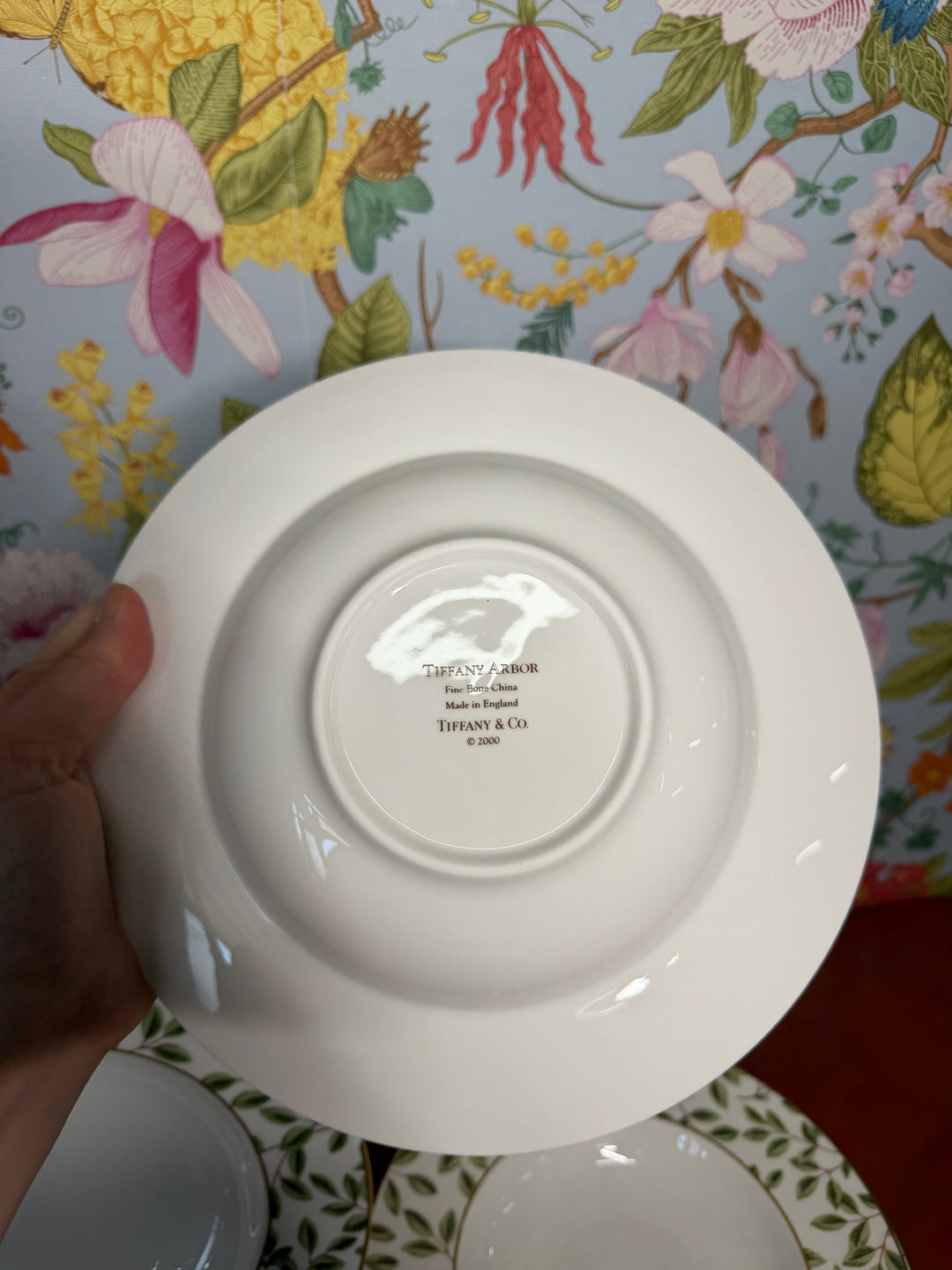 Vintage Tiffany & Co  Arbor Soup Bowls (Set of 12 - Chip on 1 bowl)