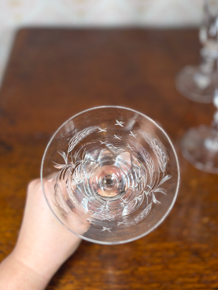 Set of 5 Glasses