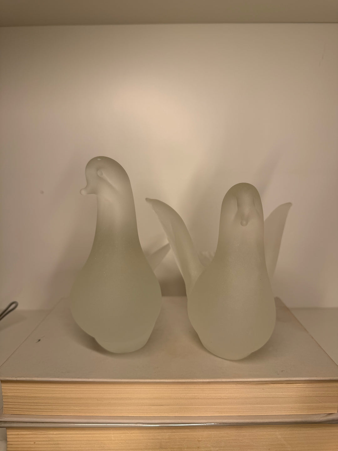 Quidio  Dove of Peace Birds