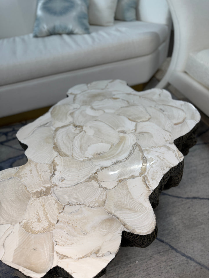 Fossilized Coffee Table