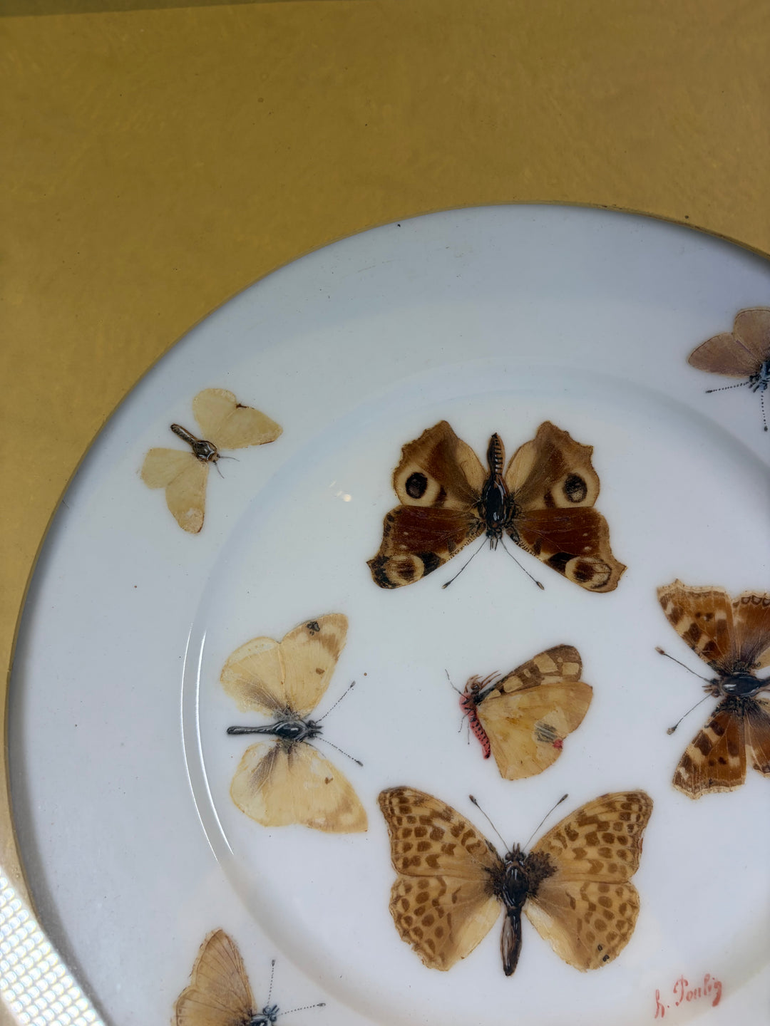 Pair of Framed Butterfly Plates