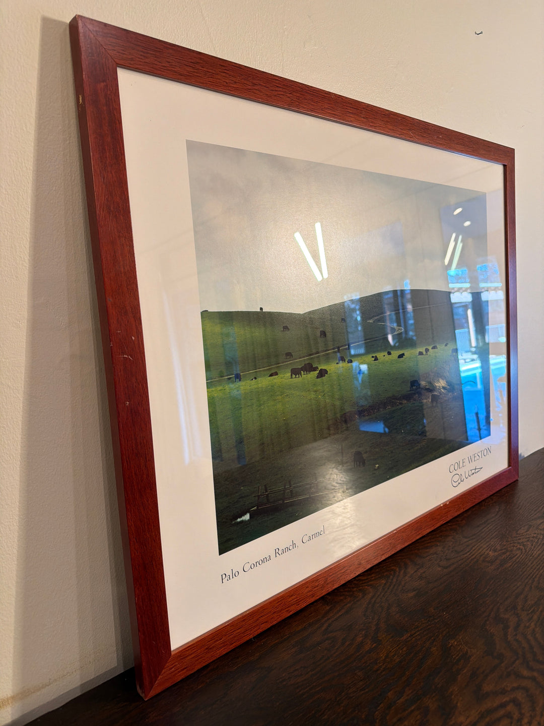 Cole Weston Signed Limited Edition Print
