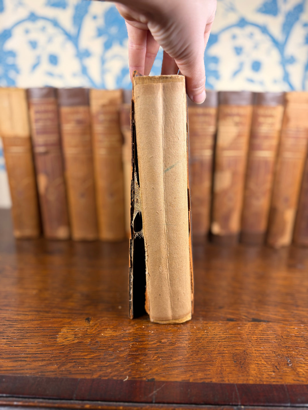 Tolstoi’s Works Volumes I-XII