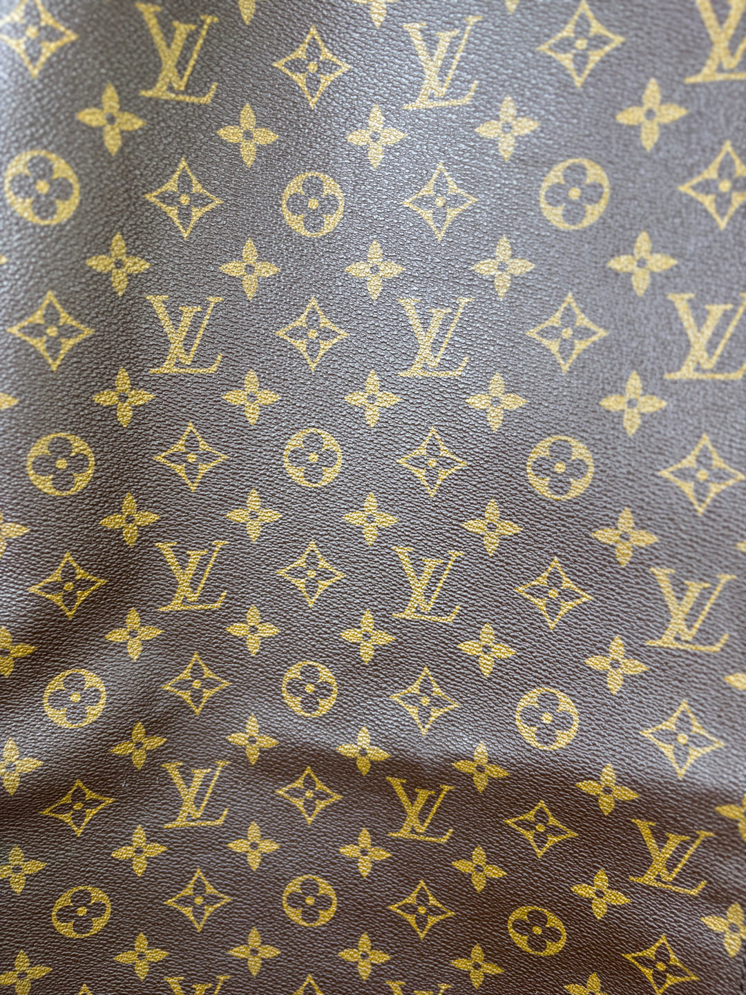 Louis Vuitton Hanging Garment Bag