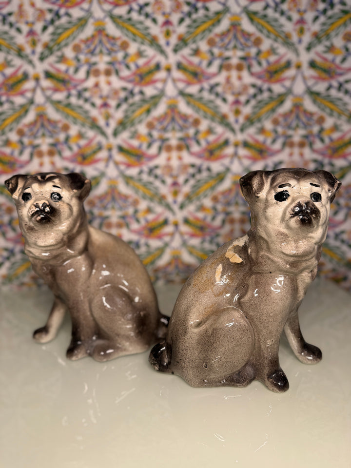 Pair of Antique Scottish Seated Pug Dog Figurines