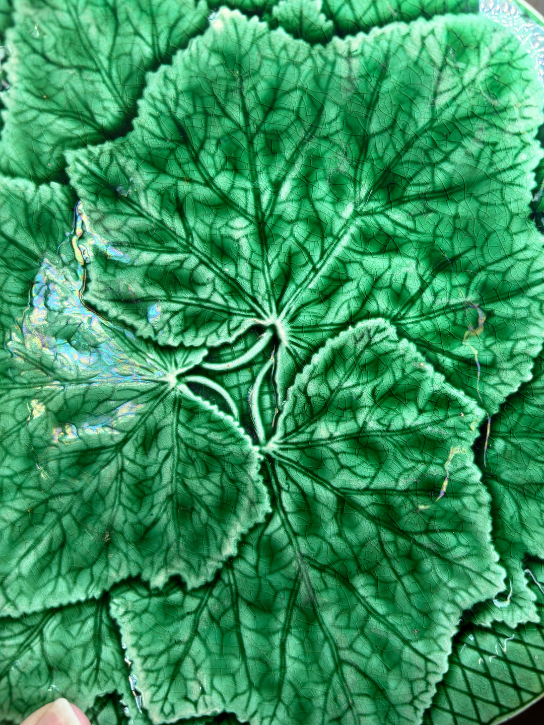 Pair of Green Majolica Leaf Pattern Plates