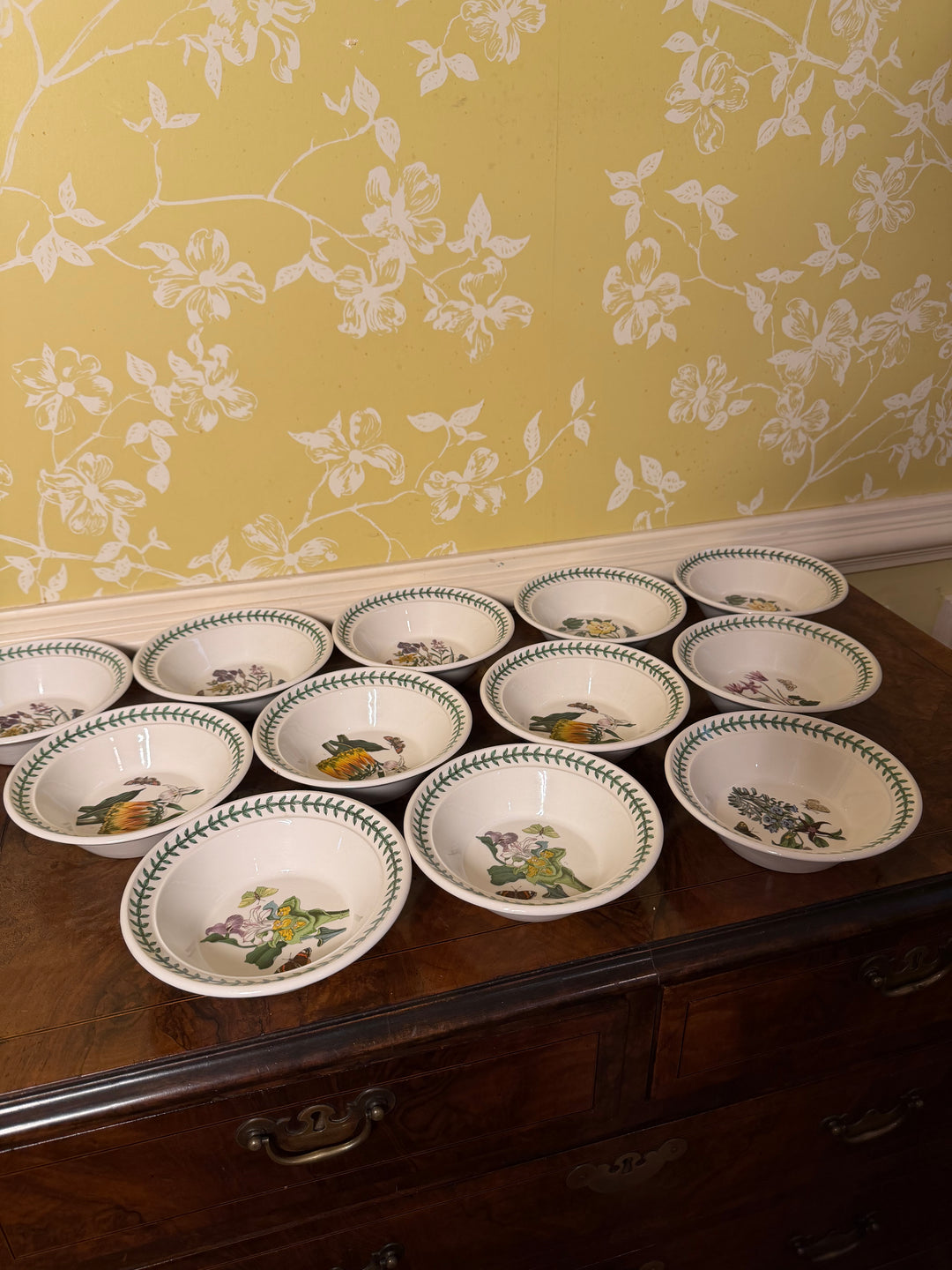 12 Portmeirion Botanic Garden Soup Bowls