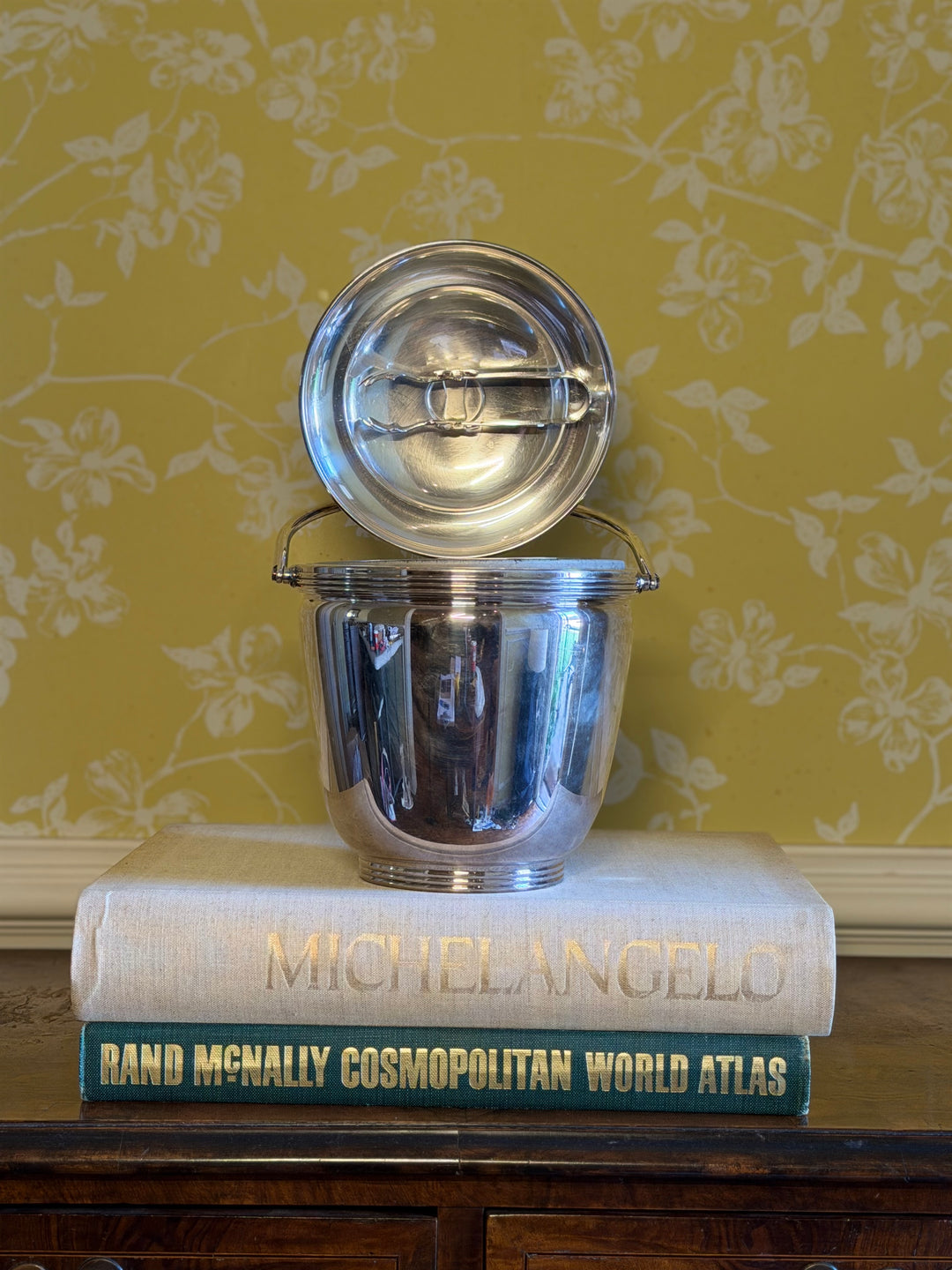 Stainless Steel Ice Bucket