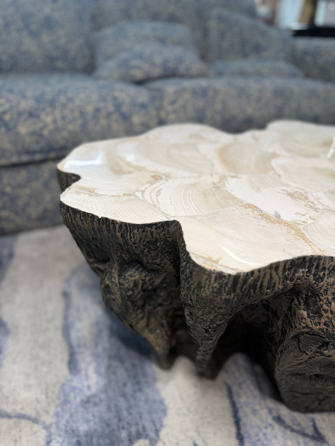 Fossilized Coffee Table