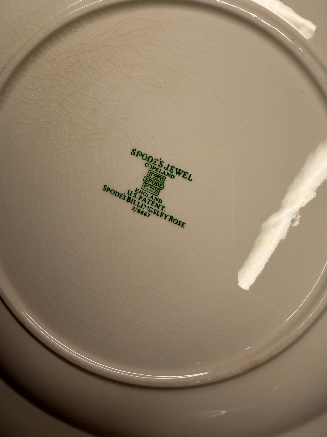 Spode Billingsley Rose Dinner Plates - Set of 11