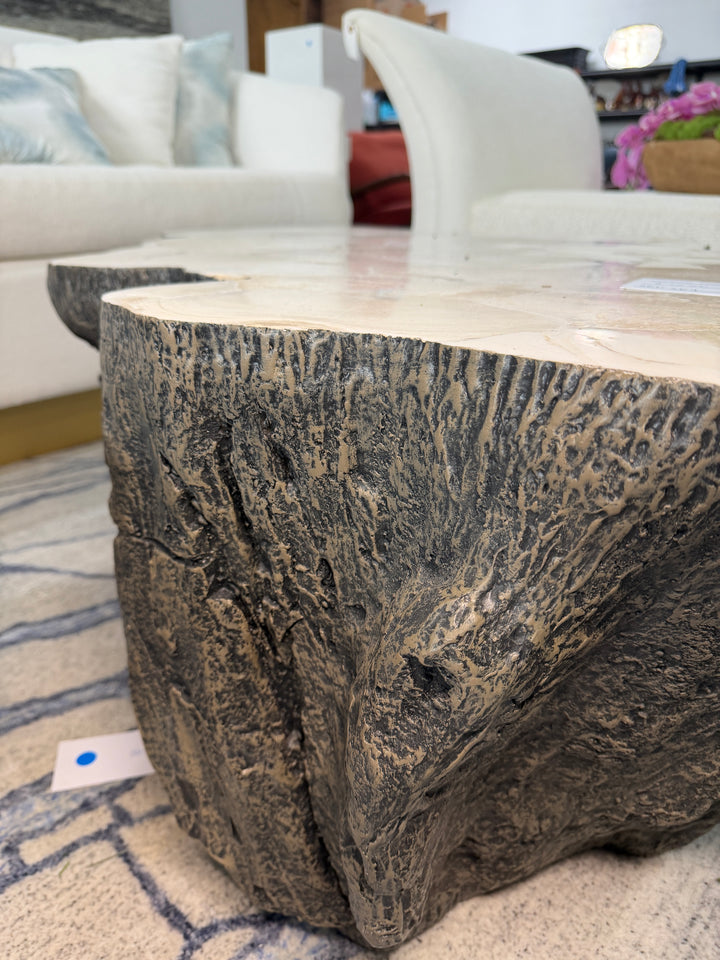 Fossilized Coffee Table