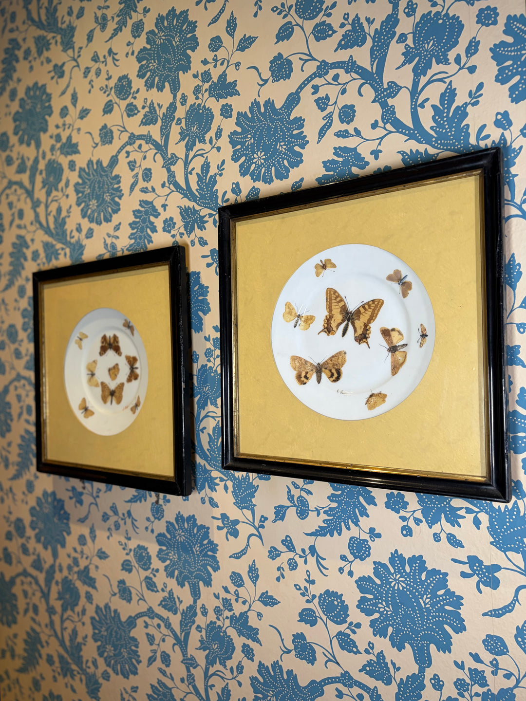 Pair of Framed Butterfly Plates