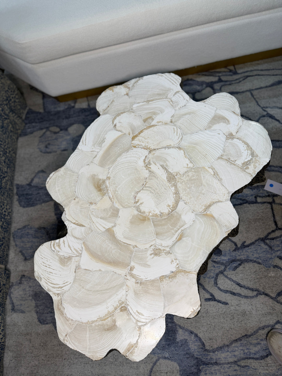 Fossilized Coffee Table