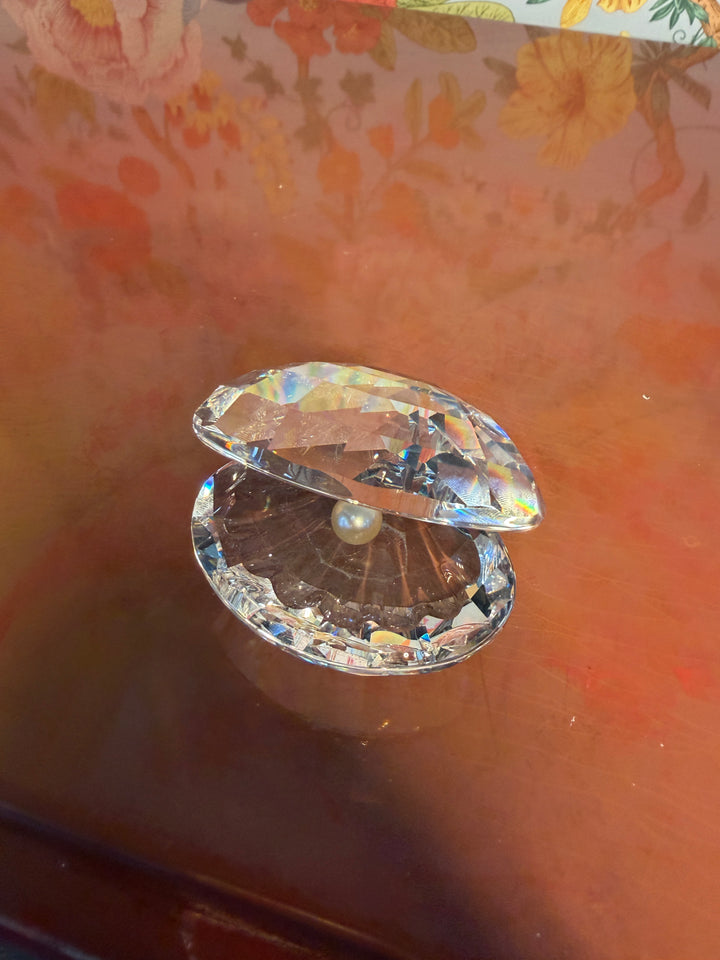 Unmarked Crystal Clam