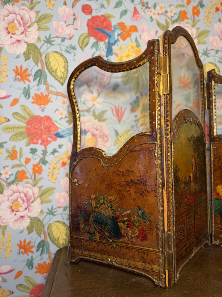 Louis XV Hand Painted Room Divider