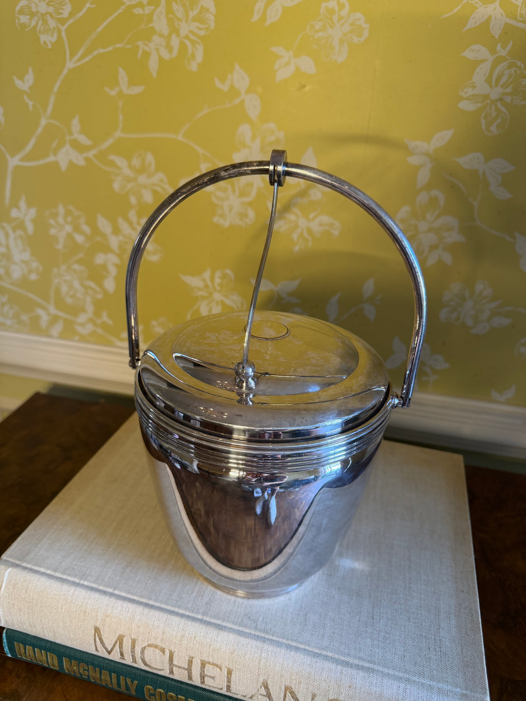 Stainless Steel Ice Bucket