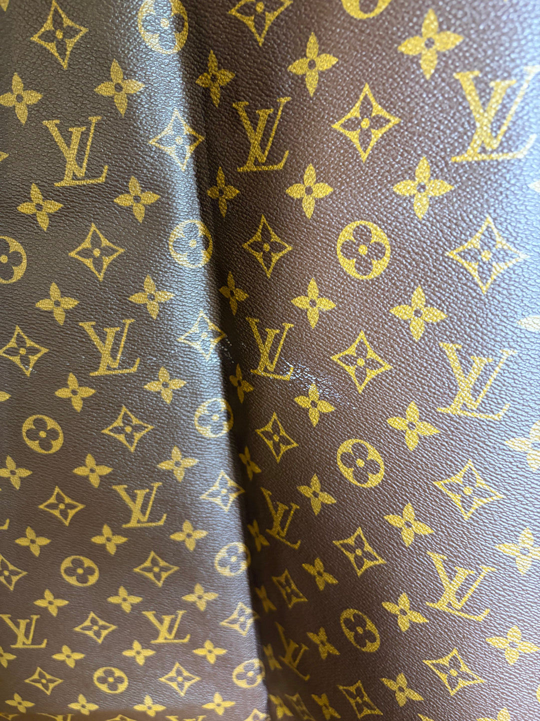 Louis Vuitton Hanging Garment Bag