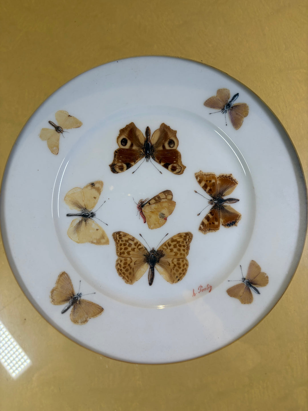 Pair of Framed Butterfly Plates