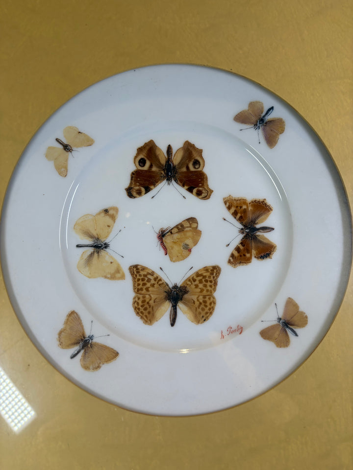 Pair of Framed Butterfly Plates