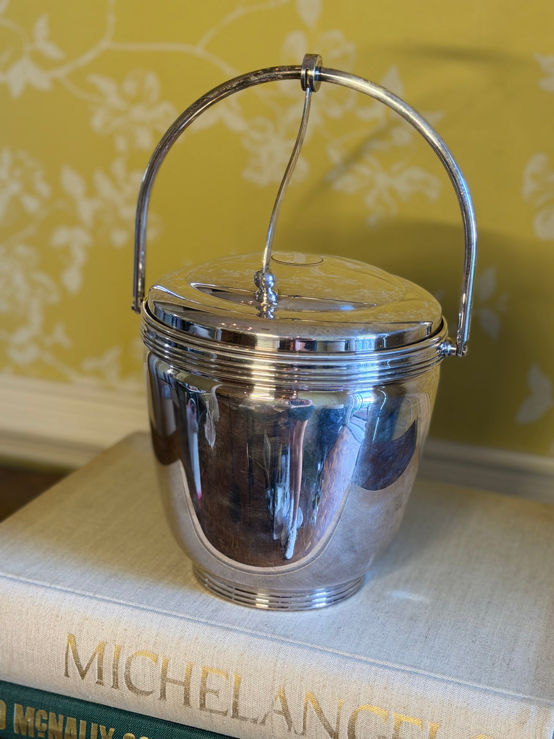 Stainless Steel Ice Bucket