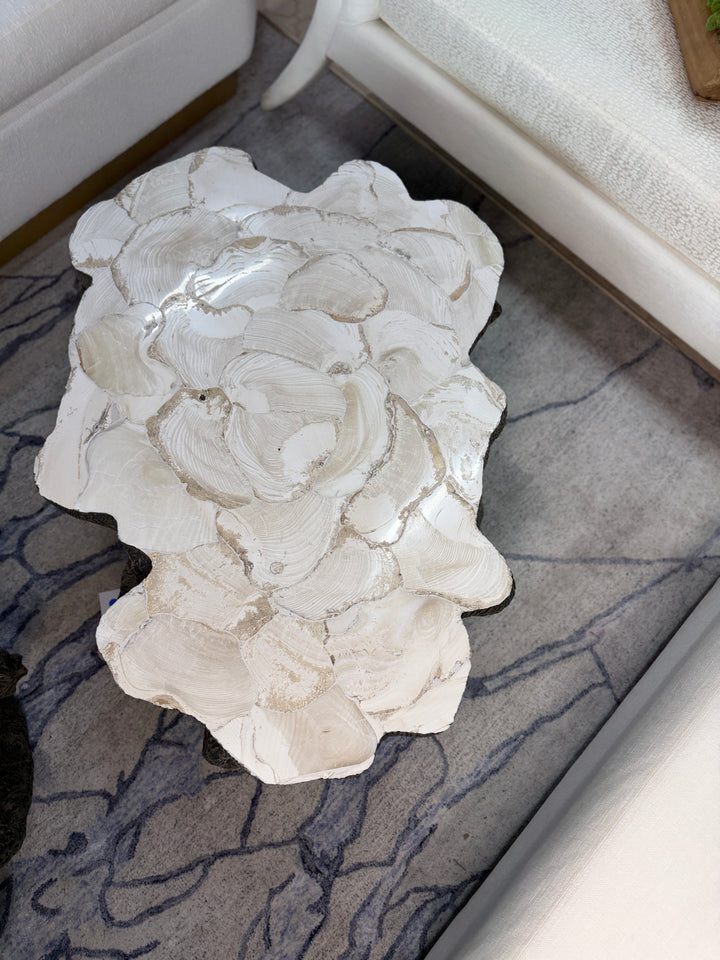 Fossilized Coffee Table