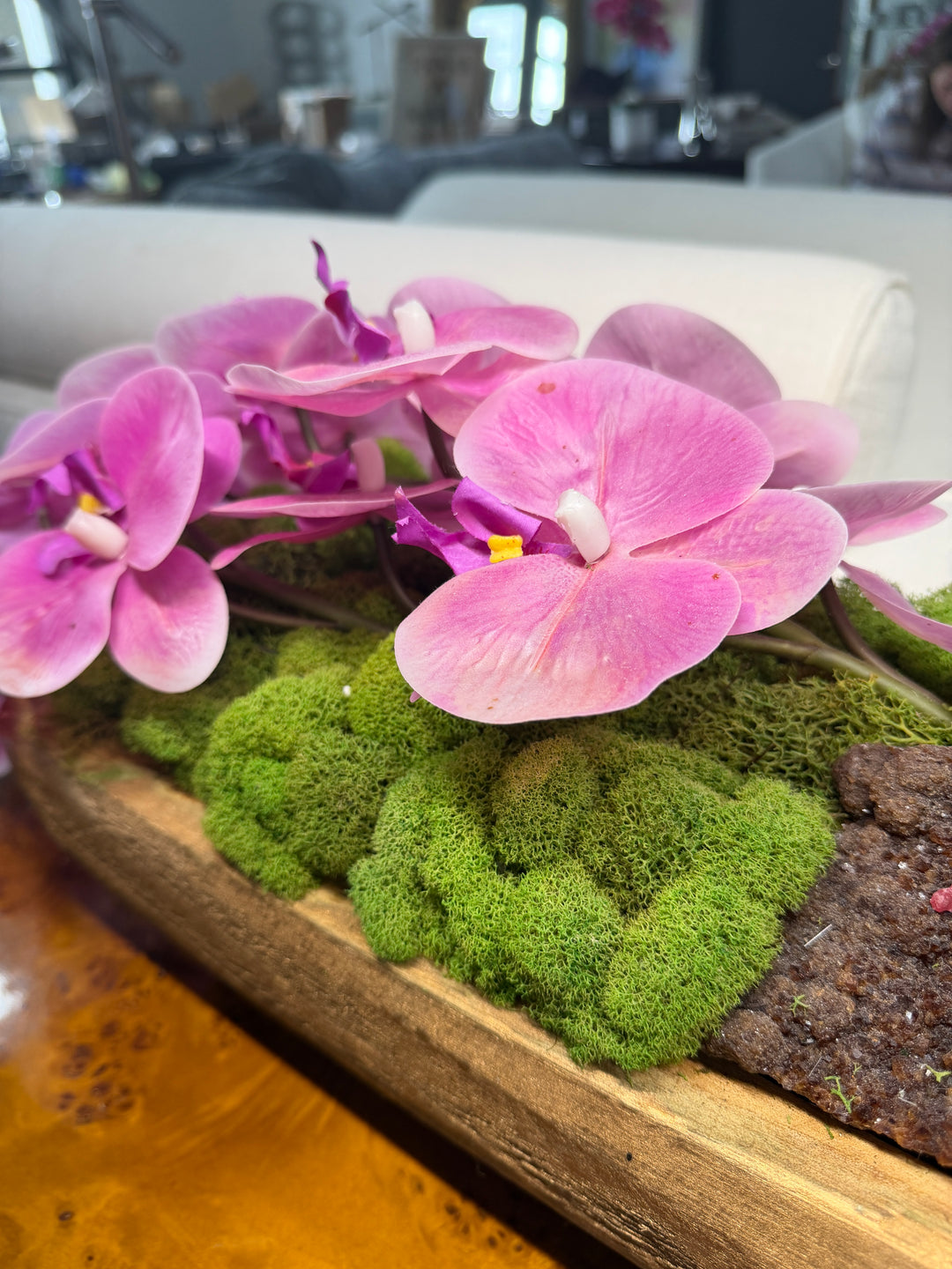 Botanical Mix Potted Arrangement