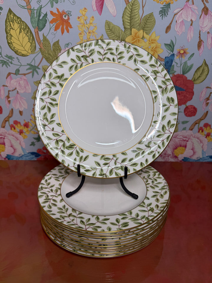Vintage Tiffany & Co Arbor Dinner Plates (Set of 11)