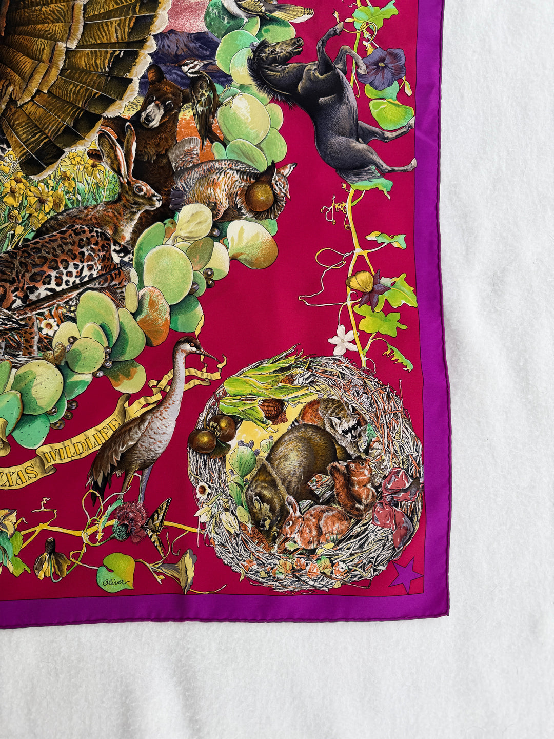 Vintage HERMÈS “Fauna et Flora du Texas” Silk Scarf by Kermit Oliver 90