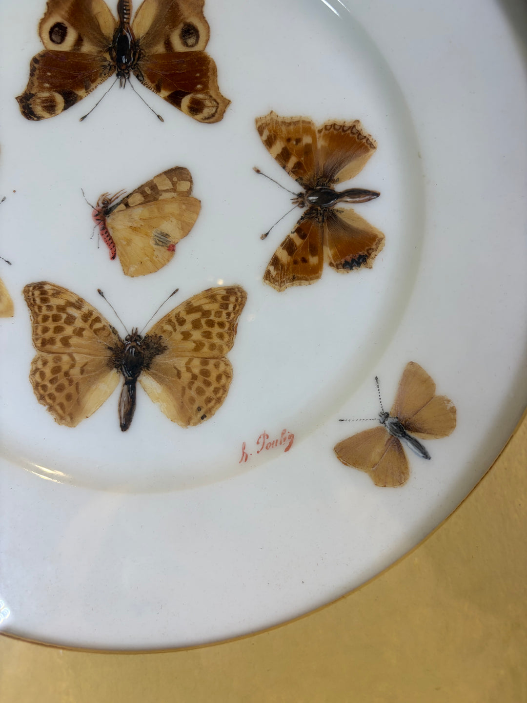 Pair of Framed Butterfly Plates