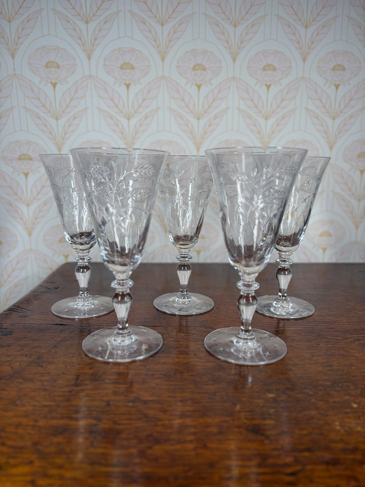 Set of 5 Glasses