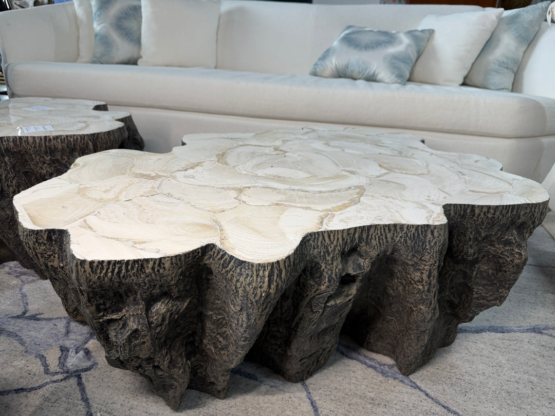 Fossilized Coffee Table